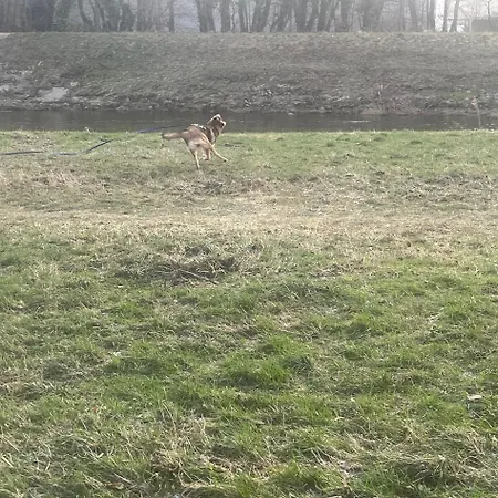 Apartman Mira Gernsbach